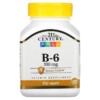 21st Century B-6 100 mg 110 Tablets 740985211960