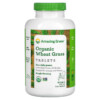 Amazing Grass Organic Wheat Grass Tablets 200 Tablets 829835012008