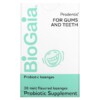 BioGaia Prodentis For Gums And Teeth Mint 30 Lozenges 602359420241