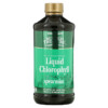 Buried Treasure Liquid Chlorophyll Spearmint 16.23 fl oz (480 ml) 016055500198