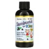 California Gold Nutrition Children Sambucus Elderberry Syrup 4 fl oz (120 ml) 898220013692