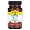 Country Life Methyl B12 Cherry 5.000 mcg 60 Lozenges 015794063049