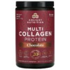 Dr. Axe / Ancient Nutrition Multi Collagen Protein Chocolate 1.04 lb (472 g) 816401022196