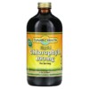 Dynamic Health Liquid Chlorophyll Natural Spearmint 100 mg 16 fl oz (473 ml) 790223101584