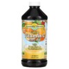 Dynamic Health Liquid Vitamin C Natural Citrus 1.000 mg 16 fl oz (473 ml) 790223100396