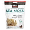 Force Factor Fundamentals Sea Moss Salted Caramel 30 Soft Chews 818594018697