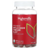 Hyland's Organic Apple Cider Vinegar Blast Gummies Natural Apple 60 Vegan Gummies 810087820039