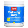 Jarrow Formulas Calming Day Lemon 16.4 oz (465 g) 790011132196