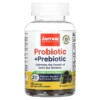 Jarrow Formulas Probiotic + Prebiotic Blackberry 2 Billion 50 Gummies 790011037163