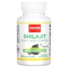 Jarrow Formulas Shilajit Fulvic Acid Complex 60 Veggie Caps 790011290605