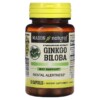 Mason Natural Ginkgo Biloba Standardized Extract 60 Capsules 311845128058