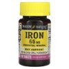 Mason Natural Iron 65 mg 100 Tablets 311845149718