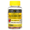Mason Natural Sambucus Elderberry with Echinacea & Propolis Raspberry 60 Gummies 311845180759