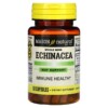 Mason Natural Whole Herb Echinacea 60 Capsules 311845177452