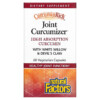 Natural Factors CurcuminRich Joint Curcumizer 60 Vegetarian Capsules 068958045542