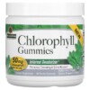 Nature's Answer Chlorophyll Gummies Natural Peppermint 25 mg 60 Pectin Gummies 083000269196