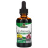 Nature's Answer Echinacea Alcohol-Free 1000 mg 2 fl oz (60 ml) 083000006135