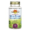 Nature's Herbs Standardized Extract Silica-Power 300 mg 60 Vegetarian Capsules 041954498161