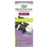 Nature's Way Organic Sambucus Syrup for Kids Standardized Elderberry 4 fl oz (120 ml) 033674157978