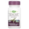Nature's Way Premium Extract Olive Leaf 250 mg 60 Vegan Capsules 033674154809