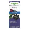 Nature's Way Sambucus Alpha CF Multi-Symptom Flucare With Elderberry 4 fl oz (120 ml) 033674158036