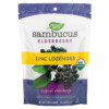 Nature's Way Sambucus Elderberry Zinc Lozenges with Vitamin C Original Elderberry 24 Lozenges 033674102206