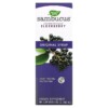 Nature's Way Sambucus Standardized Elderberry Original Syrup 8 fl oz (240 ml) 033674153321