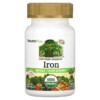 NaturesPlus Source of Life Garden Iron 30 Vegan Capsules 097467307360