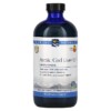 Nordic Naturals Arctic Cod Liver Oil Orange 16 fl oz (473 ml) 768990547867