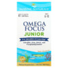 Nordic Naturals Omega Focus Junior Ages 6-18 120 Mini Soft Gels 768990027857