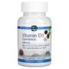 Nordic Naturals Vitamin D3 Gummies Wild Berry 1.000 IU 60 Gummies 768990311451