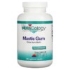 Nutricology Mastic Gum 240 Vegetarian Capsules 713947573703