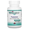 Nutricology Pancreas Natural Glandular (Pork) 60 Capsule 713947516403