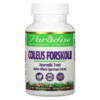 Paradise Herbs Coleus Forskolii 60 Vegetarian Capsules 601944777289