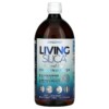 Silicium Laboratories LLC Orgono Living Silica Collagen Booster 33.8 fl oz (1 L) 045914998944