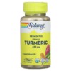 Solaray Fermented Organic Turmeric 425 mg 100 Organic Capsules 076280717051