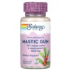 Solaray Mastic Gum 500 mg 45 VegCaps 076280036886