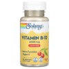 Solaray Vitamin B-12 Natural Cherry 2.000 mcg 90 Lozenges 076280043501