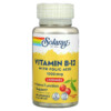 Solaray Vitamin B-12 with Folic Acid Natural Cherry 1.000 mcg 90 Lozenges 076280043457