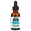 Source Naturals Propolis Tincture 1 fl oz (29.57 ml) 021078006077