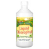 Sunny Green Liquid Chlorophyll Peppermint 100 mg 16.2 fl oz (480 ml) 632651560000