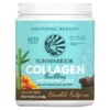 Sunwarrior Collagen Building Protein Peptides Chocolate Fudge 1.1 lb (500 g) 814784026534