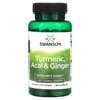Swanson Turmeric Acai & Ginger 60 Capsules 087614115863